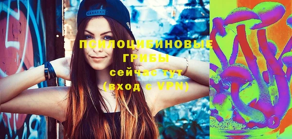 не бодяженный Абаза